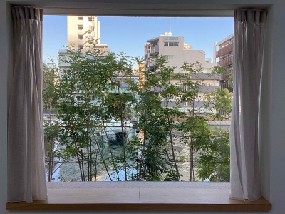 現在の庭の状態