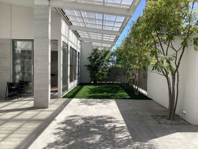 現在の庭の状態