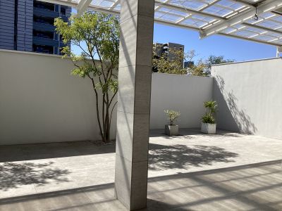 現在の庭の状態