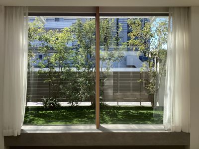 現在の庭の状態