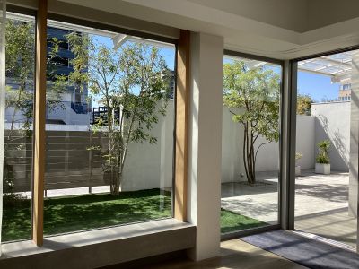 現在の庭の状態