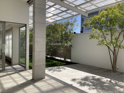 現在の庭の状態