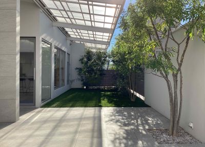 現在の庭の状態