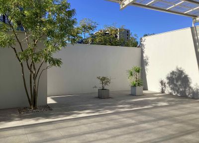 現在の庭の状態