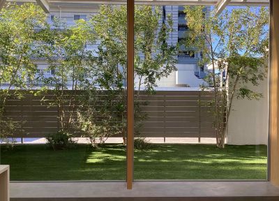 現在の庭の状態