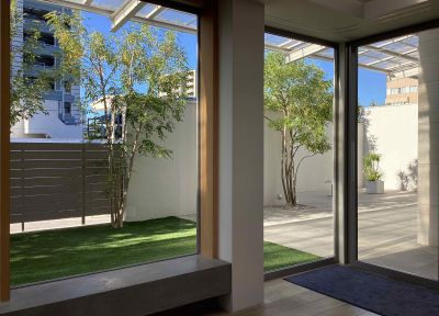 現在の庭の状態