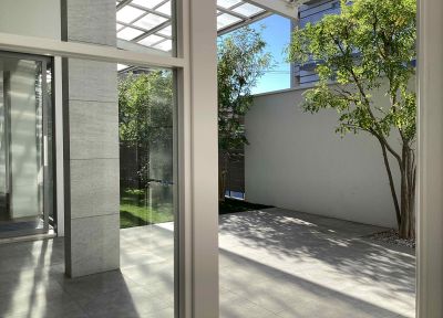 現在の庭の状態