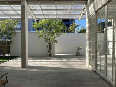 現在の庭の状態