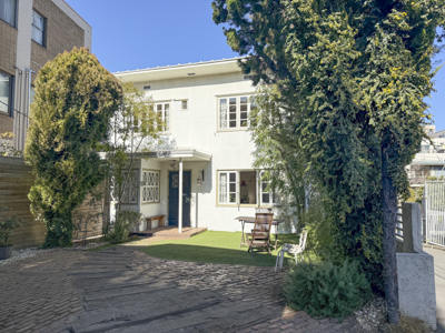 現在の庭の状態