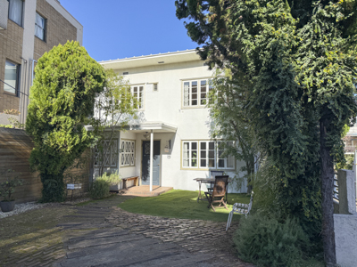 現在の庭の状態