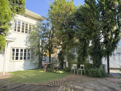 現在の庭の状態