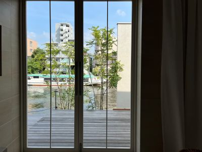 現在の庭の状態
