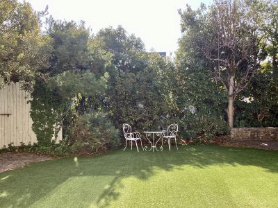 現在の庭の状態