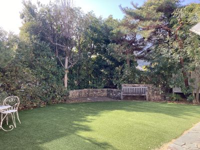 現在の庭の状態