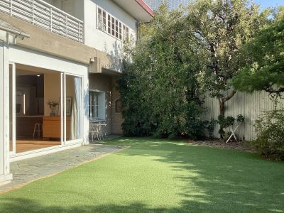 現在の庭の状態