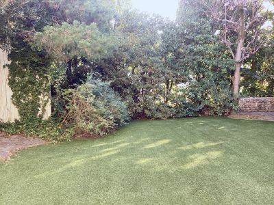 現在の庭の状態