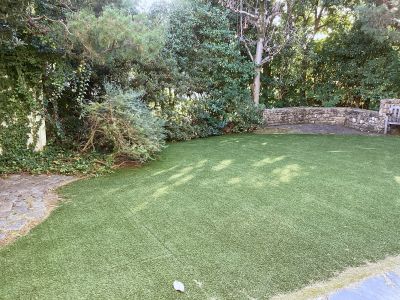 現在の庭の状態