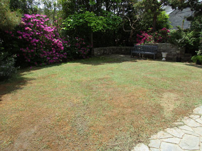 Garden2