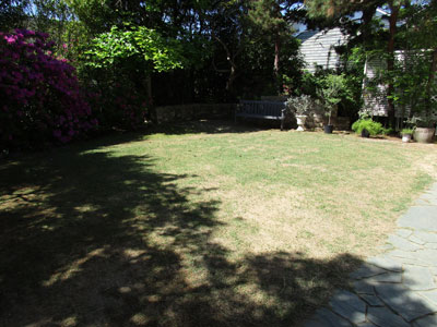 Garden2