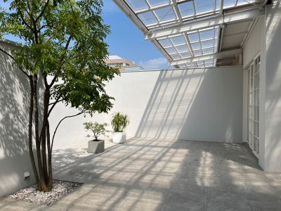現在の庭の状態